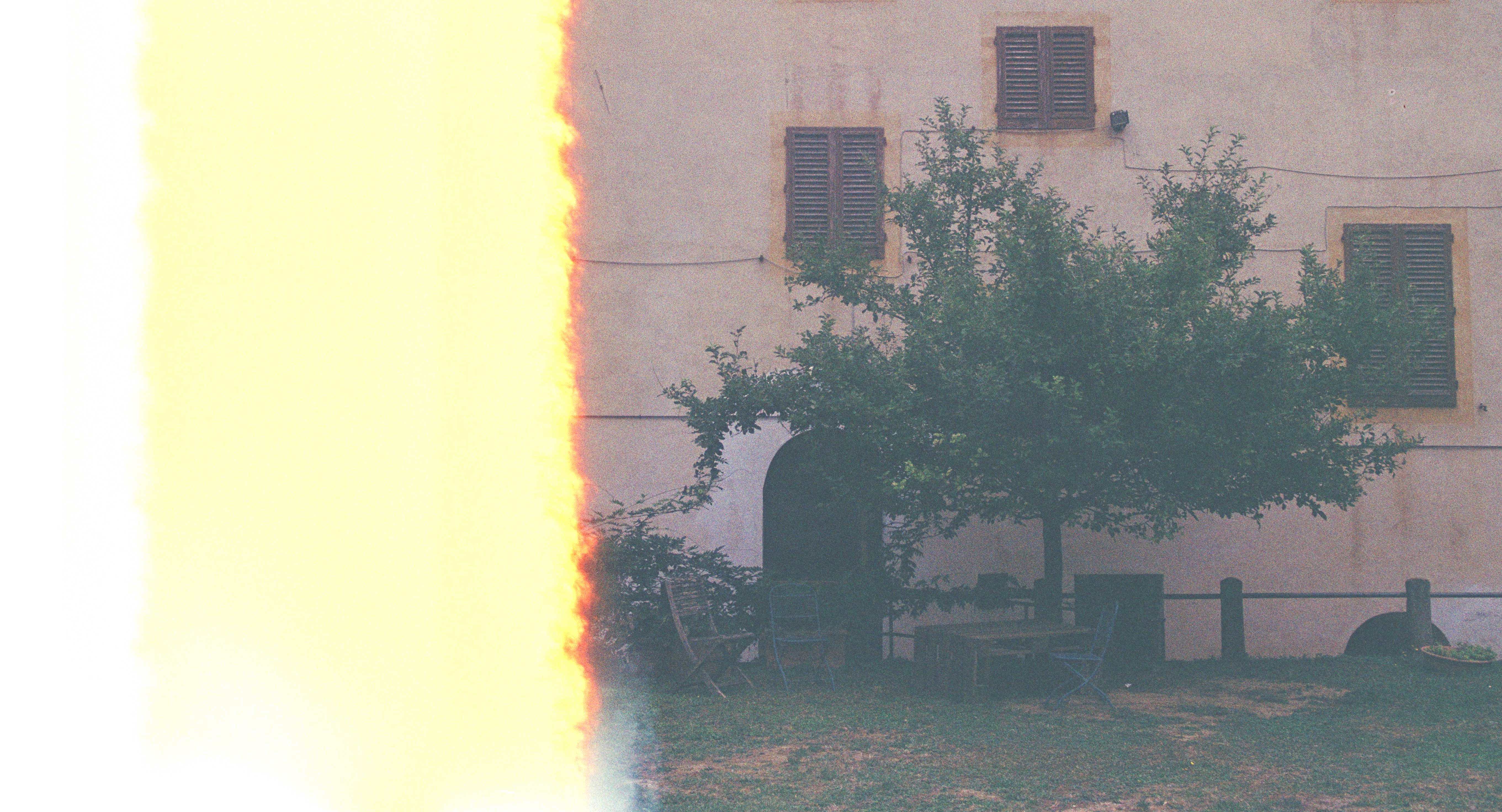 picture